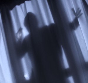 burglar-img