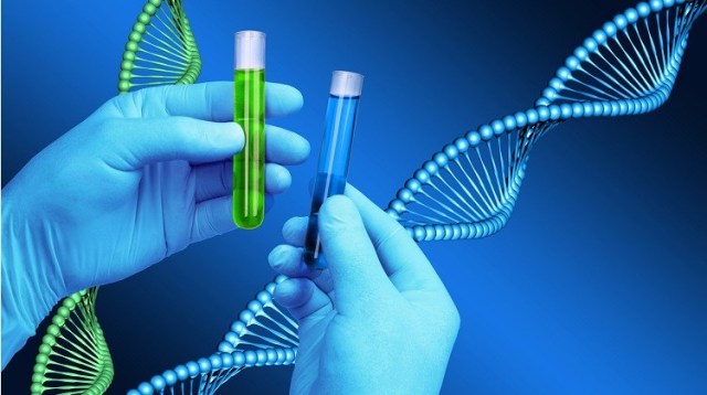 Test tubes laboratory DNA helix model